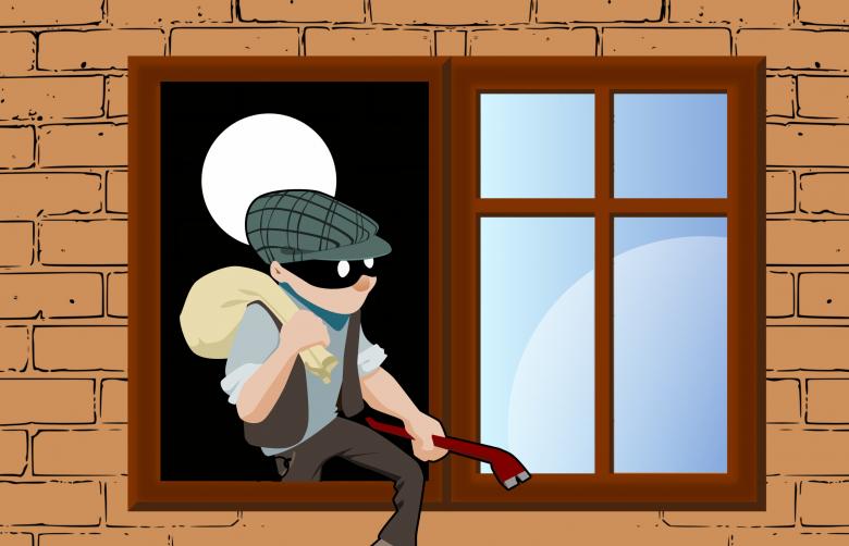 House thief illustration.