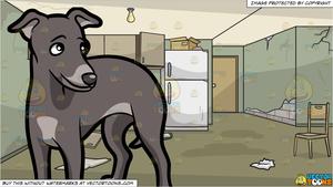 A Charming Young Greyhound Dog and A Run Down Apartment Background