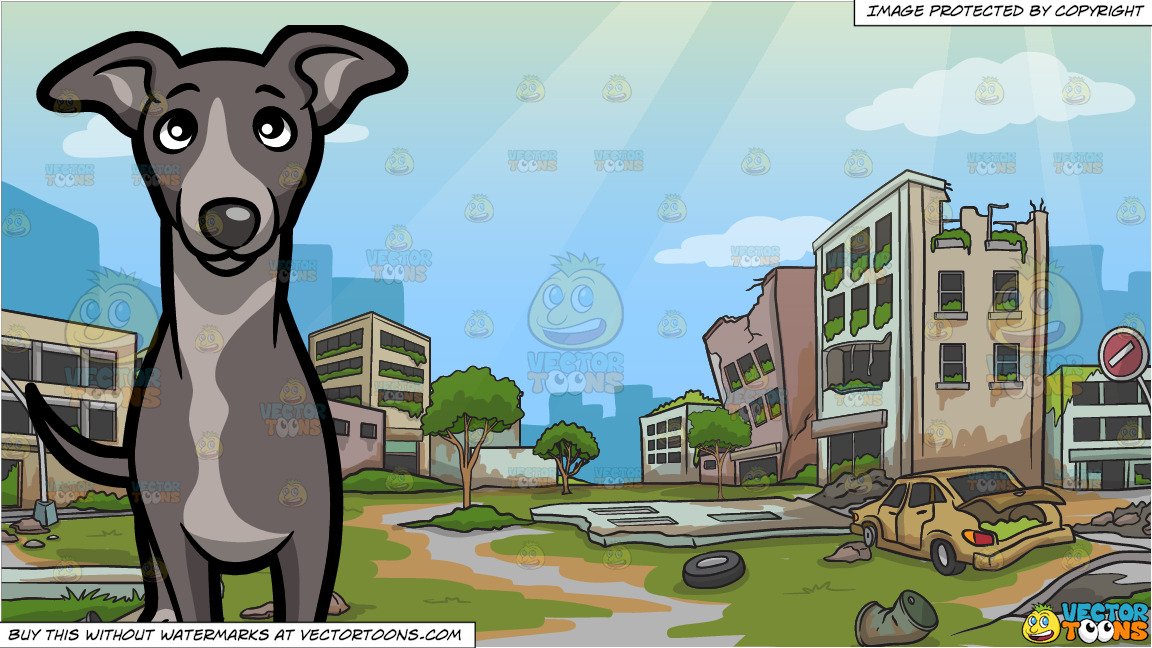 An Attentive Young Greyhound Dog and An Abandoned City Background