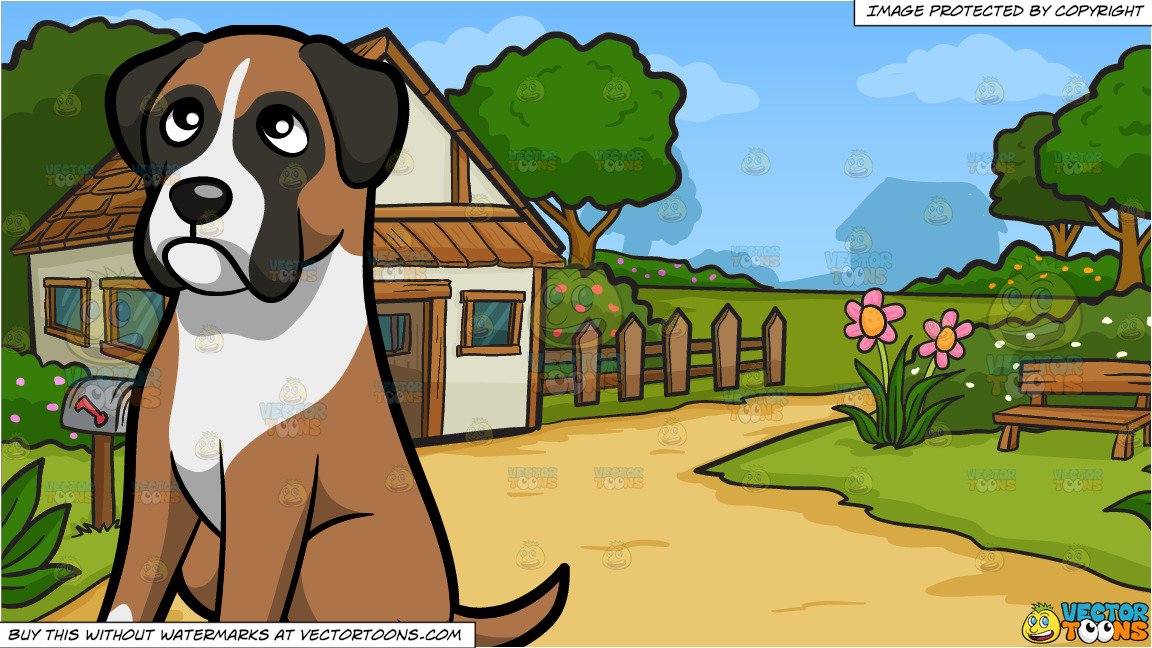 A Frowning Boxer Dog and A Countryside Cottage Background