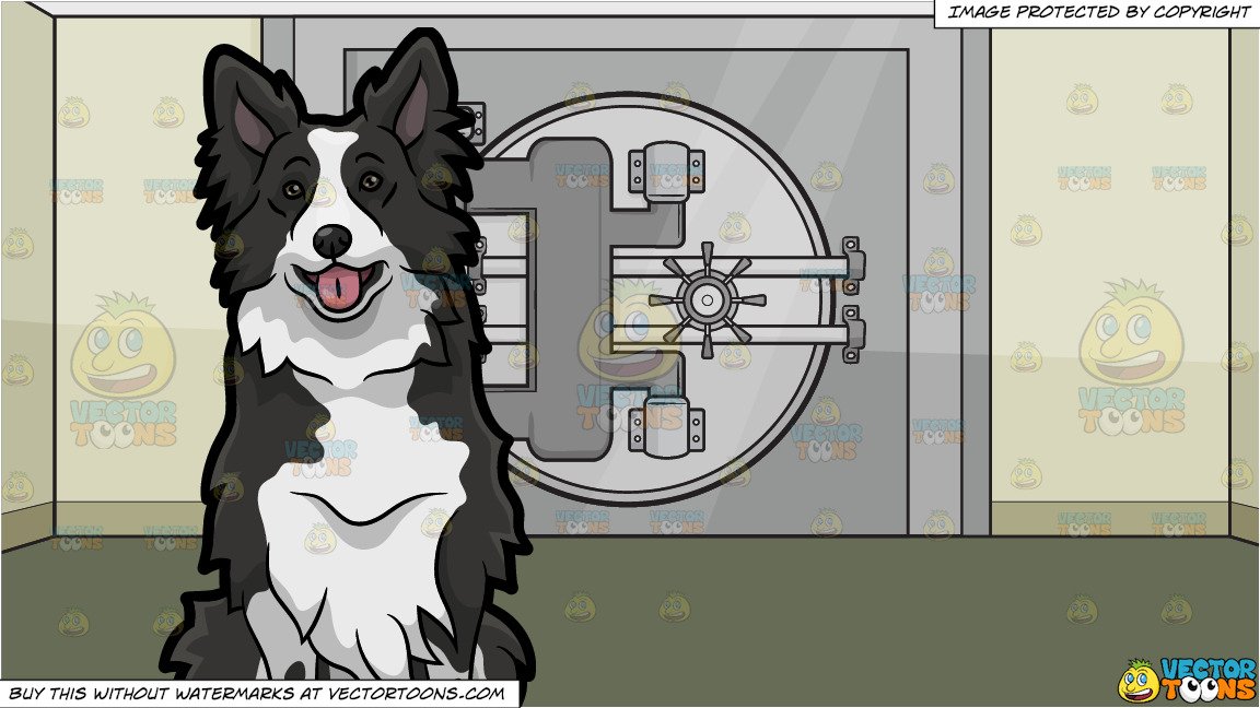 A Cute Border Collie Dog and A Bank Vault Background