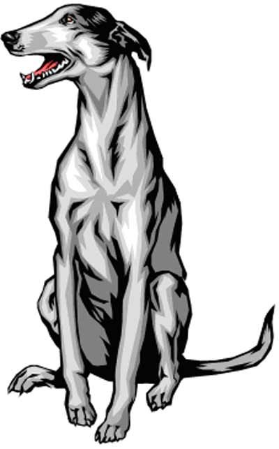 Greyhound dog clipart