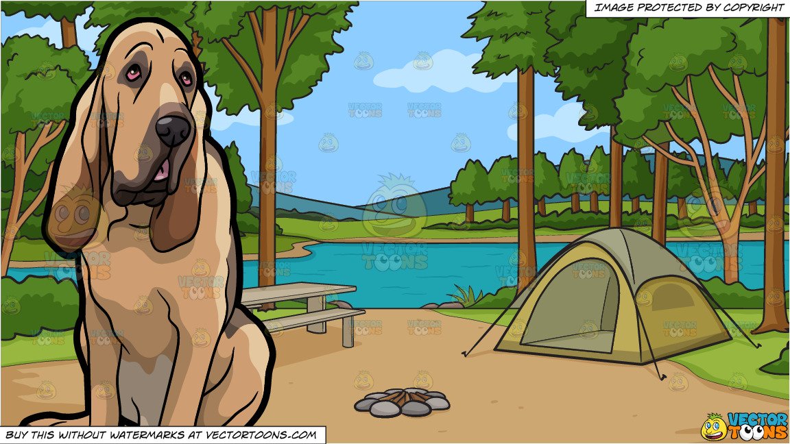 An Obedient Bloodhound Pet Dog and Campground During The Day Background