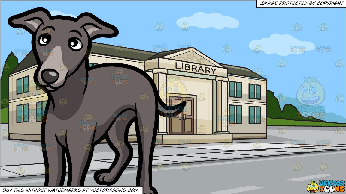A Curious Young Greyhound Dog and A Small Town Library Background