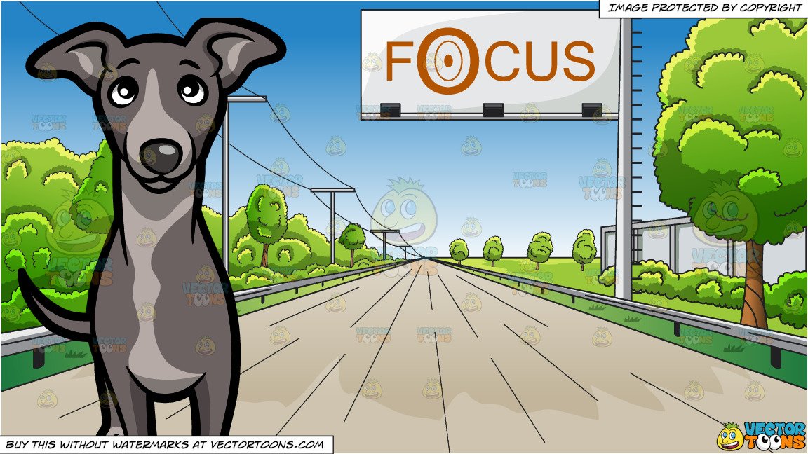 An Attentive Young Greyhound Dog and An Interstate Highway With A Billboard  Background