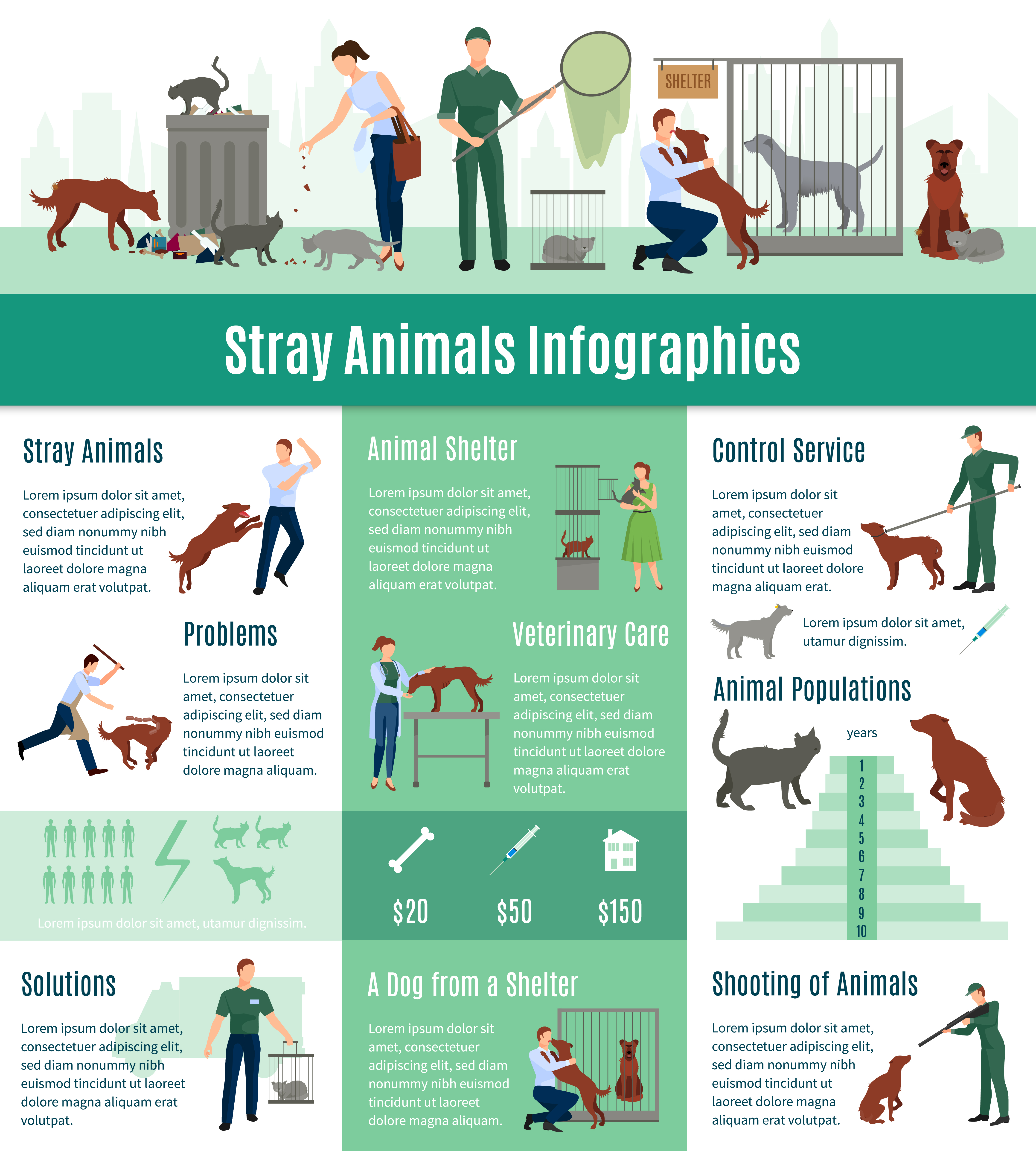 Stray animals infographics.