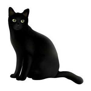 22 black cat.