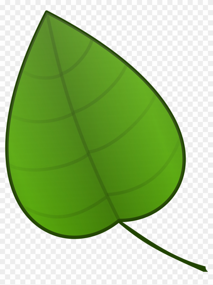 Clipart leaf green.