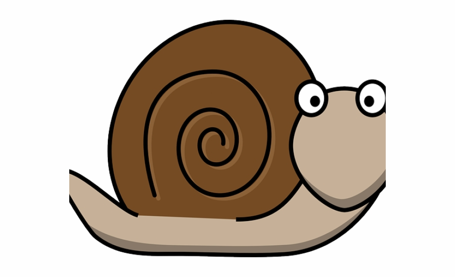 Snail Clipart Living Thing