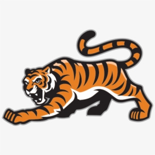 Angry Tiger PNG Images