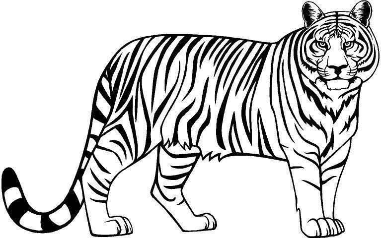 Tiger clipart black and white free