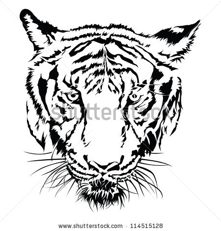 Tiger face black white