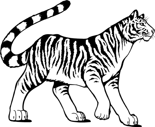 tiger clipart black and white bengal
