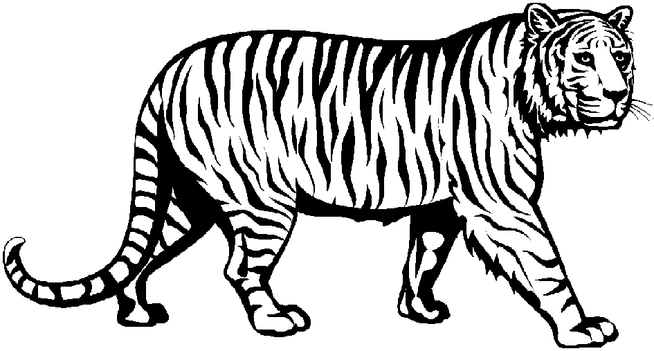 Free tiger cartoon.