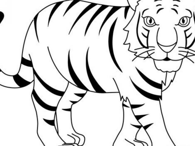 tiger clipart black and white cartoon