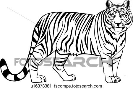 Tiger clipart black.