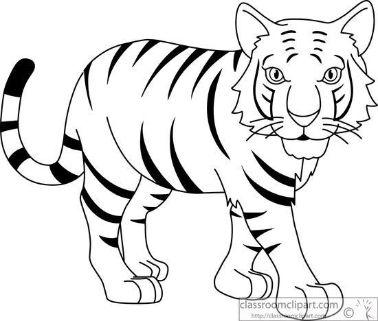 tiger clipart black and white coloring