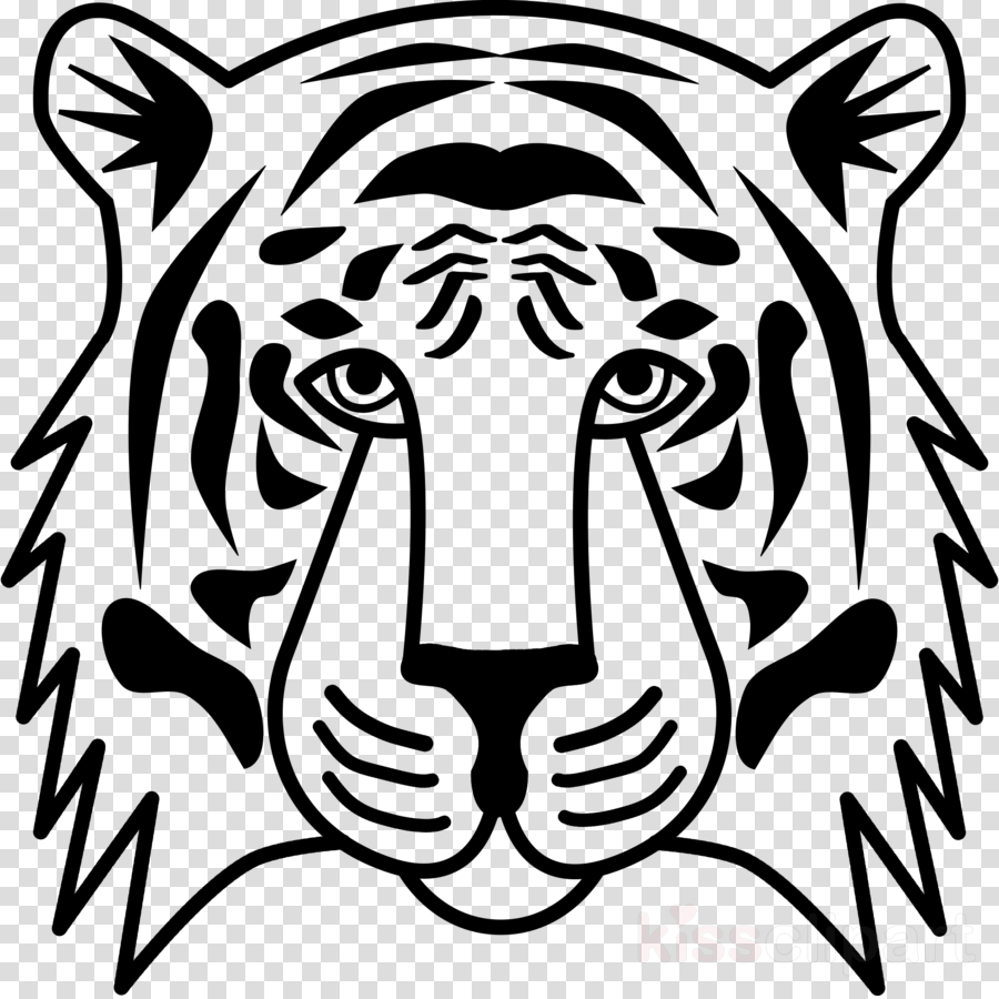 Wildlife head tiger bengal tiger black