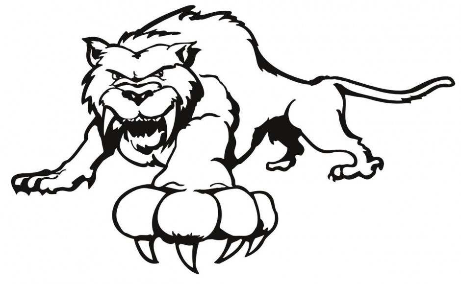 tiger clipart black and white lion