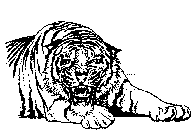 tiger clipart black and white roar