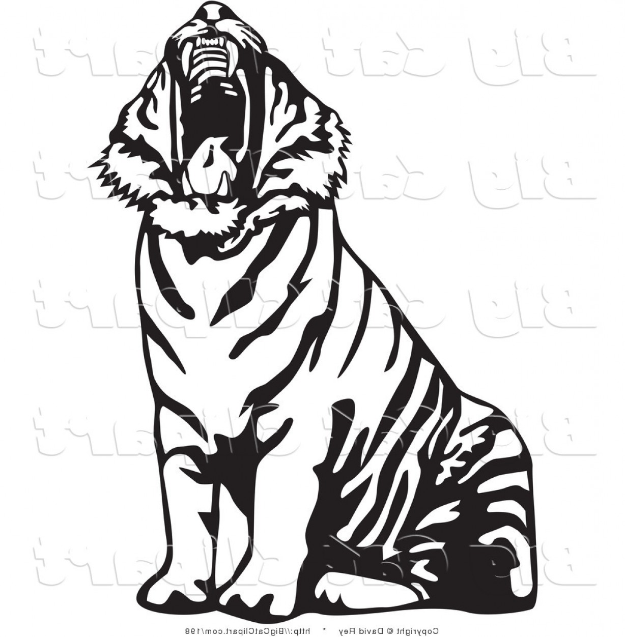 Big Cat Vector Clipart Of A Yawning Black And White Tiger