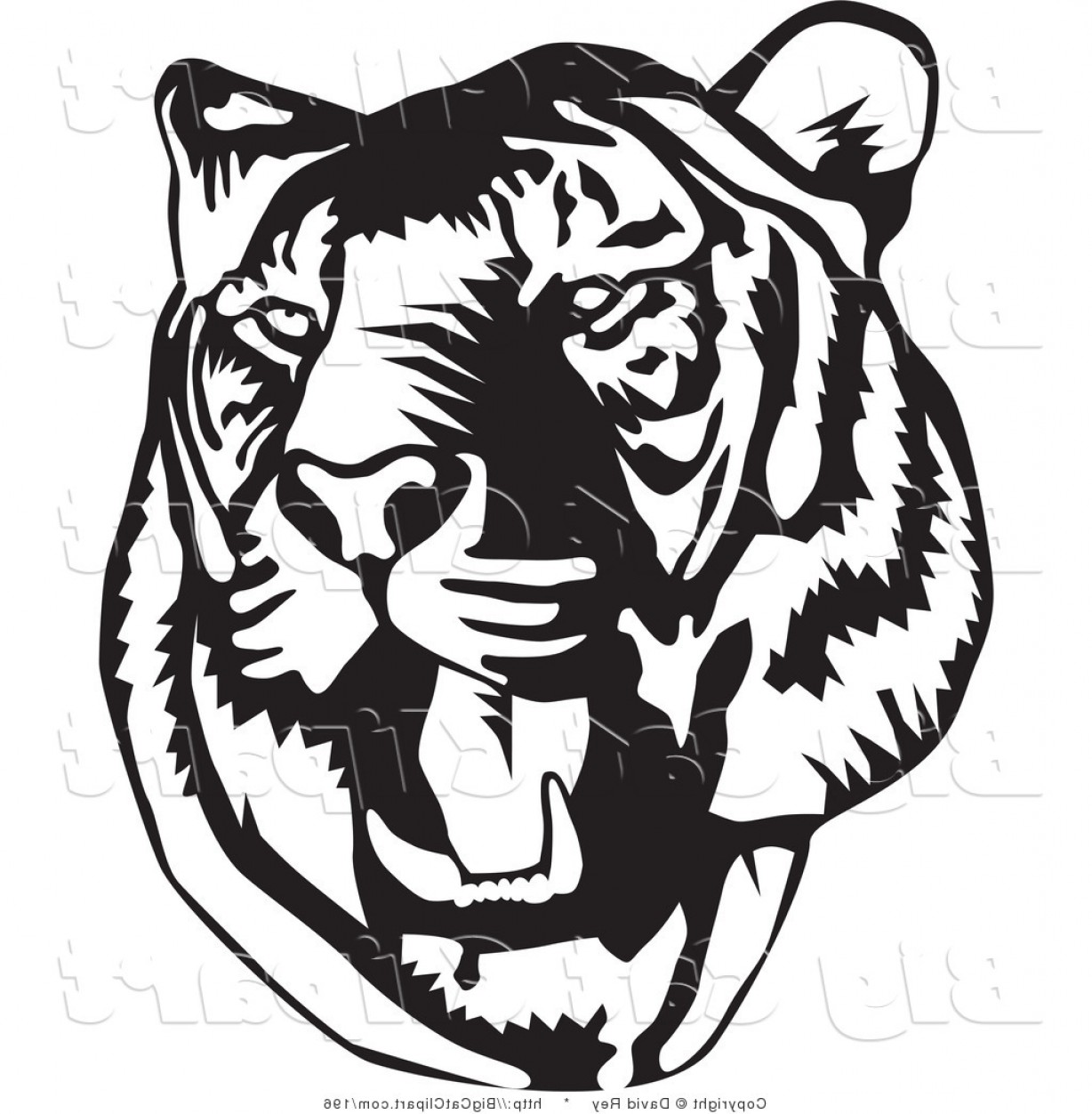Big Cat Vector Clipart Of A Black And White Roaring Tiger