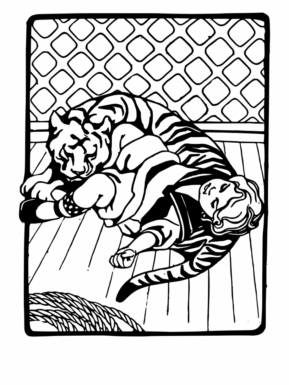 Girl Sleeping With Tiger