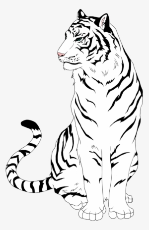 tiger clipart black and white transparent