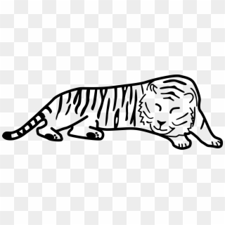 Tiger PNG Transparent For Free Download