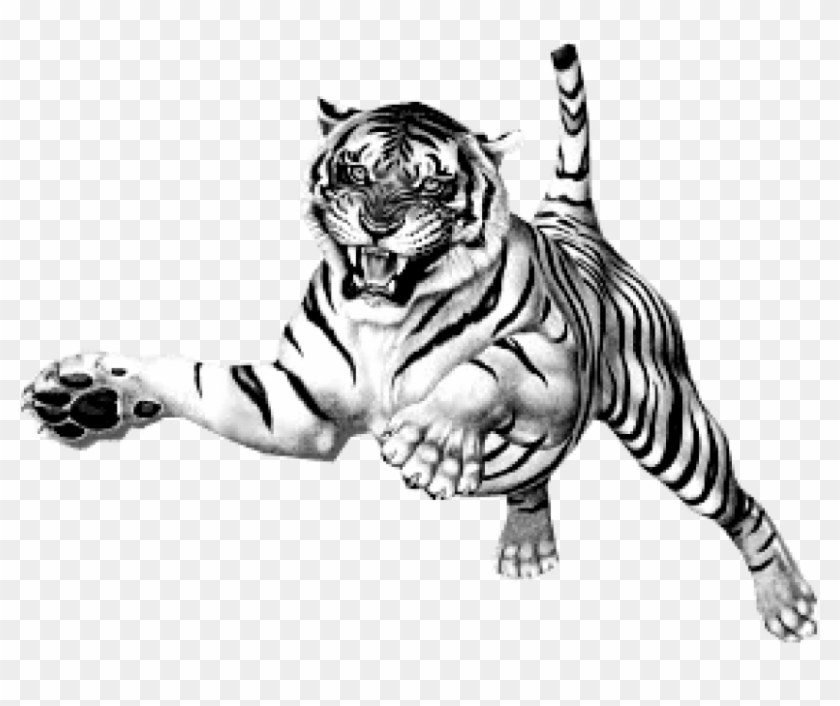 Free Png Download Jumping Tiger Png Images Background
