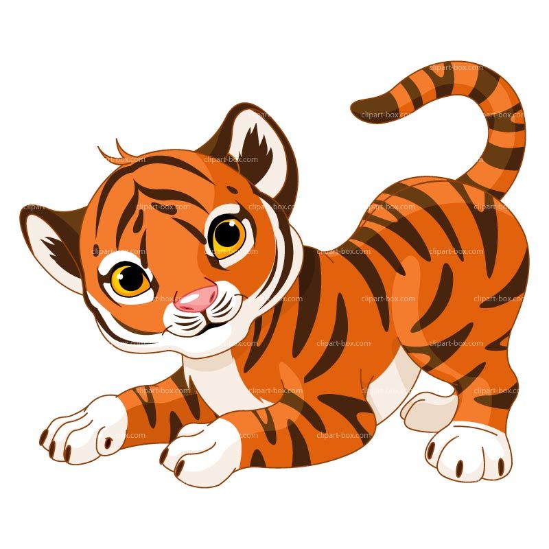 Clipart baby tiger.