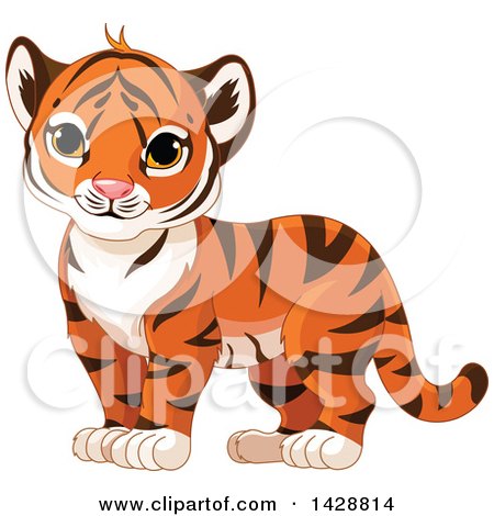 Free Tiger Clipart tiger cub, Download Free Clip Art on