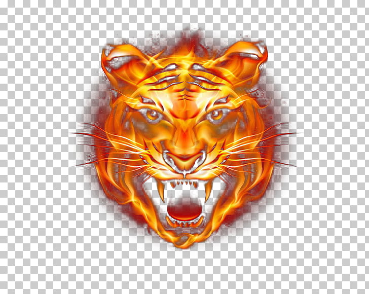 Tiger Fire, Fierce fire tiger, orange flame tiger face