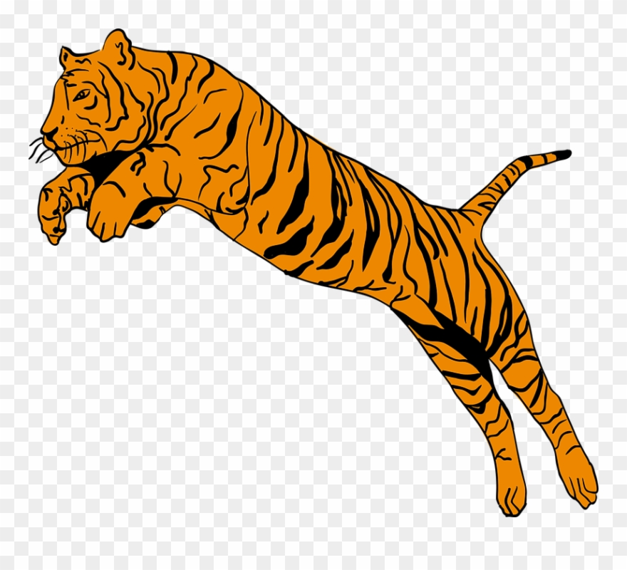 Bengal Tiger Clipart