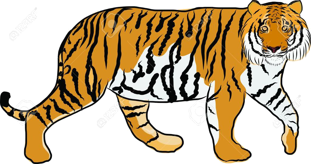 Tiger Cartoon Clipart Niml Jungle Free Cliparts Transparent