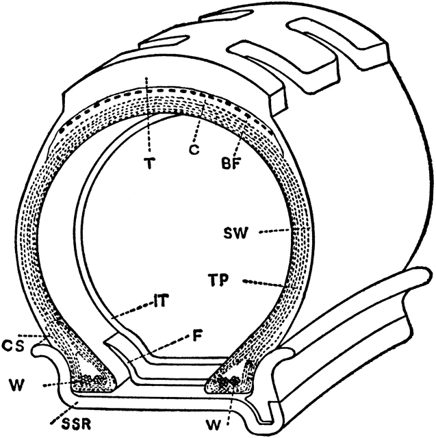 Cross Sectional View of Straight Side Rim Tire