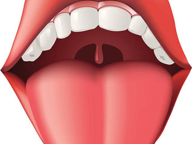 Free Tongue Clipart, Download Free Clip Art on Owips