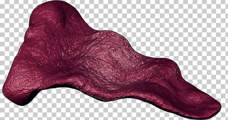 Tongue texture mapping.