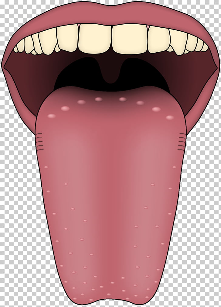 Tongue transient lingual.