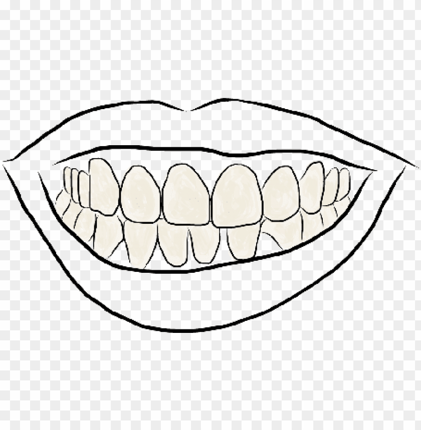 Outline image of teeth PNG image with transparent background