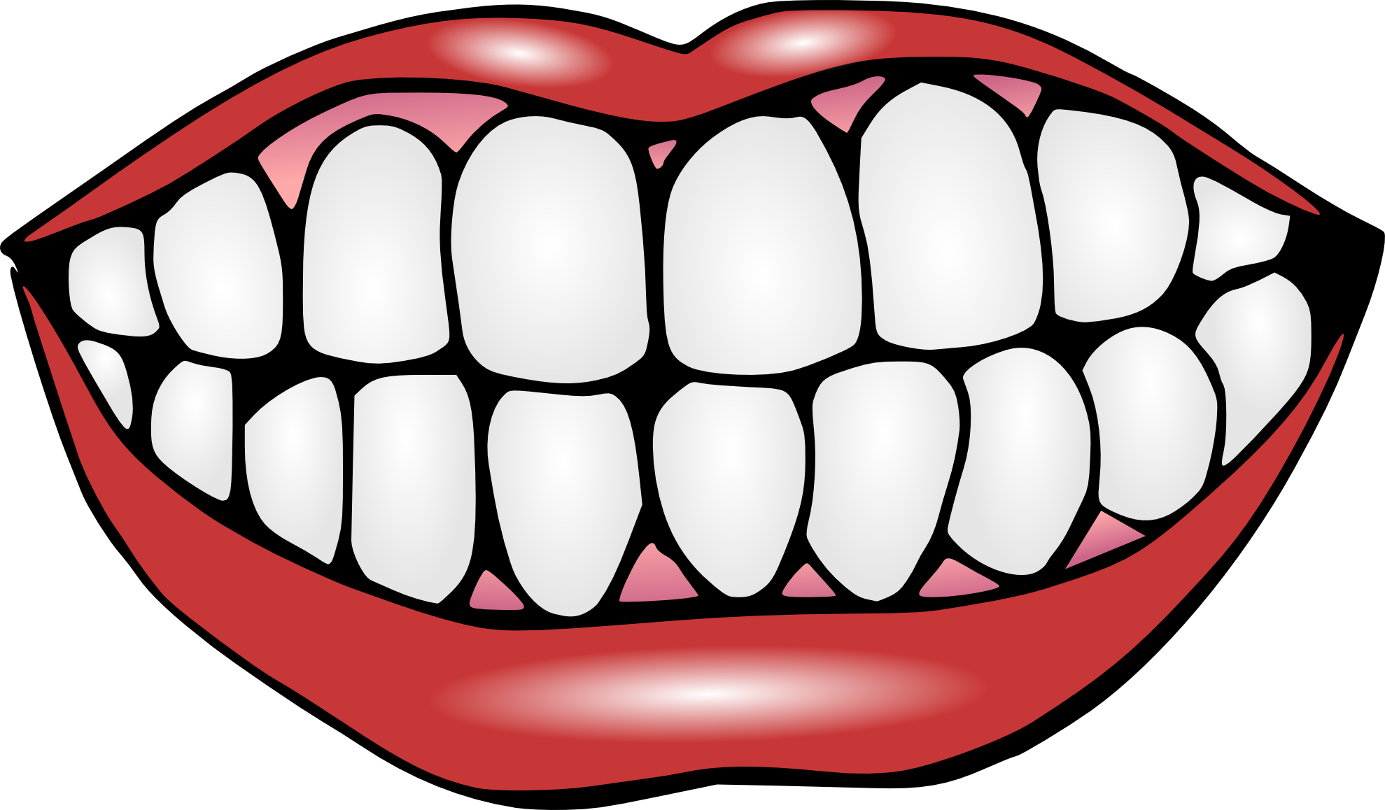 Human tooth Mouth Lip Clip art