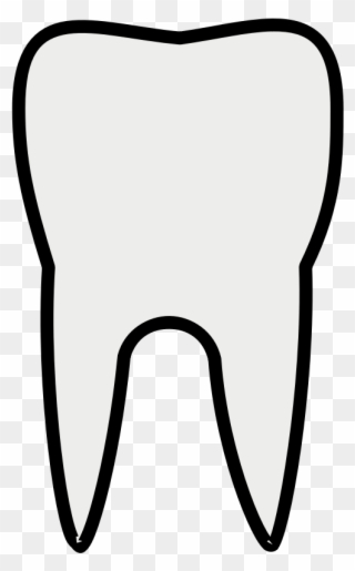 Free png tooth.