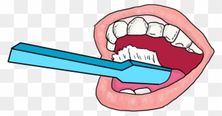 Brushing Cleaning Dental Hygiene