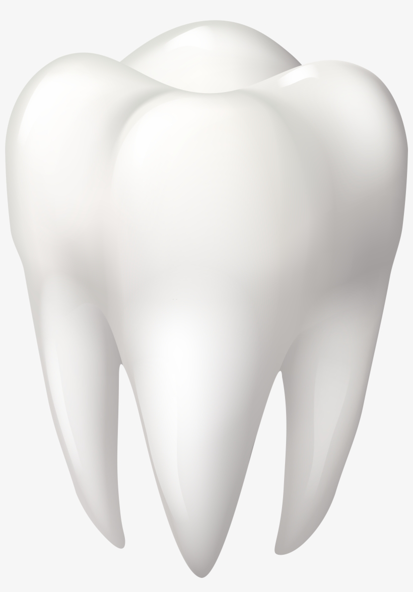 Tooth molar png.