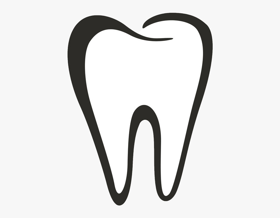 Dental Clipart Tooth Outline