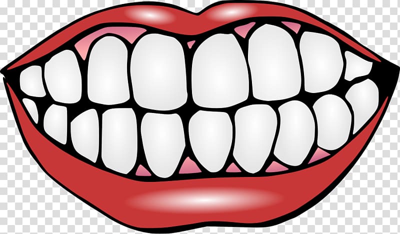 Human tooth Mouth Smile , Teeth transparent background PNG