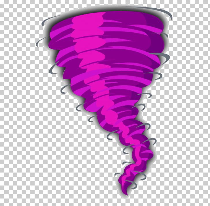 Portable Network Graphics Tornado Scalable Graphics PNG