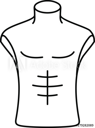 Male mannequins torso.