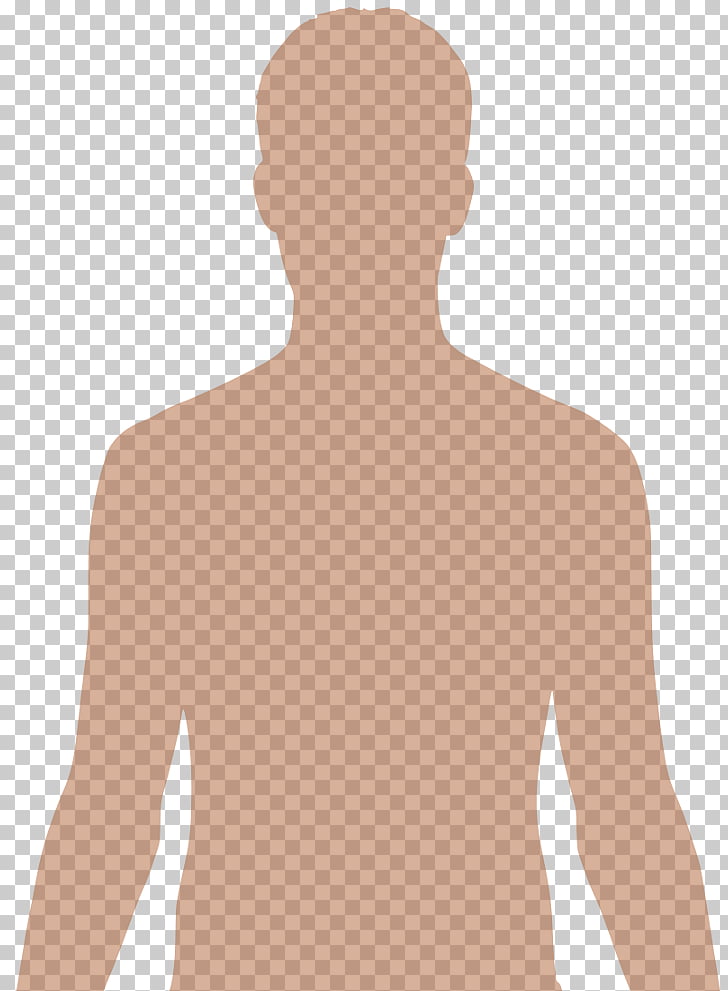 Human body Organ Anatomy Torso , Human Body Silhouette PNG