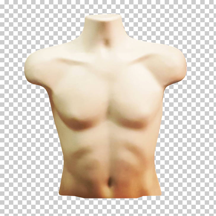Torso Skin Shoulder Thorax Arm, others PNG clipart